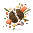 Premium Hundefutter Lachs mit Forelle, Süßkartoffel & Spargel Adult