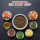 Premium Hundefutter Lachs mit Forelle, Süßkartoffel & Spargel Adult