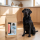 Premium Hundefutter Forelle mit Lachs, Süßkartoffel & Spargel Adult Light